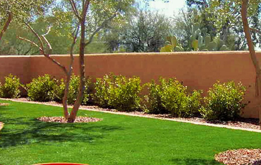 Tucson Landscape Maintenance