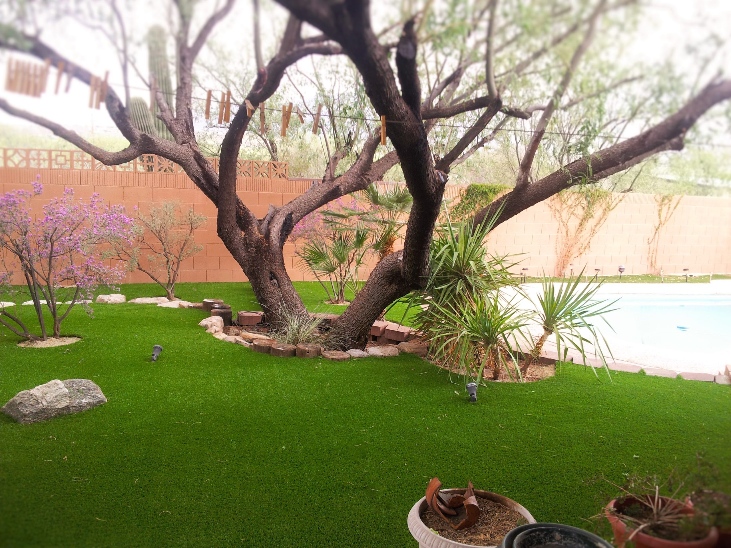 Landscape Maintenance Tips to Enhance Your Tucson Property