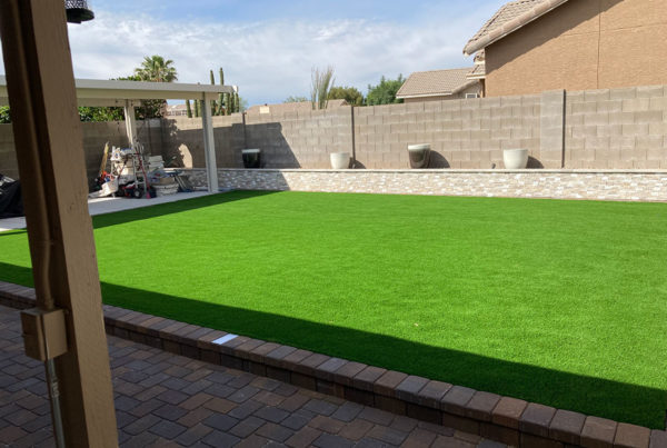 Artificial Grass